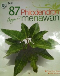 Image of 87 Philodendron Tampil menawan