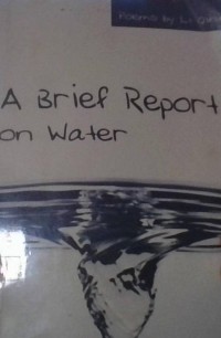 Image of A Brief Report On Water