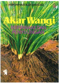 Image of Akar wangi bertanam dan penyulingan