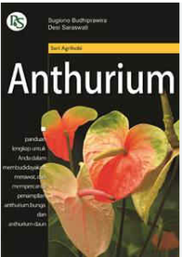 Image of ANTHURIUM