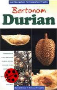 Image of Bertanam Durian