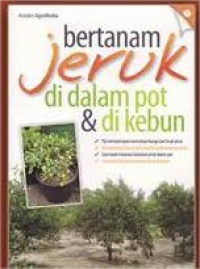 Image of Bertanam Jeruk Di Dalam Pot Dan Di Kebun