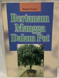 Image of Bertanam mangga dalam pot