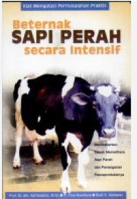 Image of bertenak sapi perah secara intensif