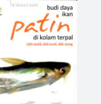 Image of Budi Daya Ikan Patin Di Kolam Terpal
