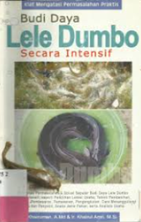 Image of budi daya lele dumbo sifecara  intensif