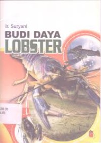 Image of Budi daya lobster