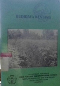 Image of Budidaya Kentang