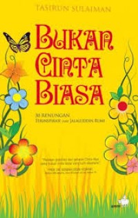 Image of Bukan Cinta Biasa