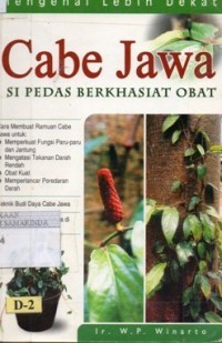 Image of Cabe Jawa si Pedas Berkhasiat Obat