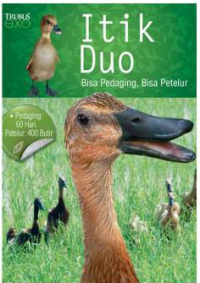 Image of itik duo bisa pedaging bisa petelur