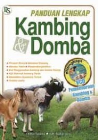 Image of Kambing domba