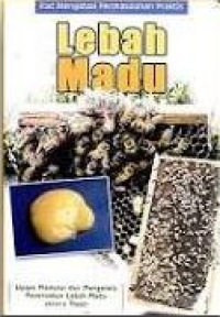 Image of Kiat Permasalahn Praktis Lebah Madu