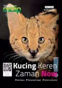 Image of Kucing keren zaman now