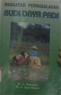 Image of mengatasi permasalahan budi daya padi