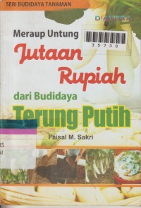 Image of Meraup Untung Jutaan Rupiah dari Budidaya Terung Putih