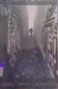 Image of Orang - Orang Bloomington