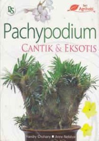 Image of Pachypodium Cantik & Eksotis
