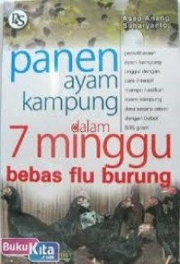 Image of Panen Ayam Kampung dalam 7 minggu bebas flu burung