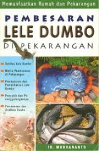 Image of Pembesaran lele dumbo di pekarangan