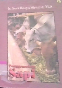 Image of penggemukan sapi