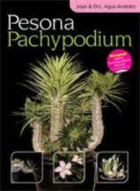 Image of Pesona Pachypodium