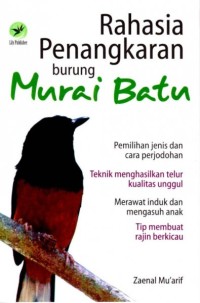 Image of Rahasia Penangkaran Burung Murai Batu