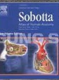 Image of Sobotta Atlas Of Human Anatomy