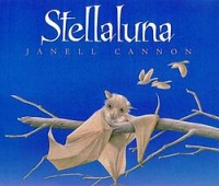 Image of STELLALUNA