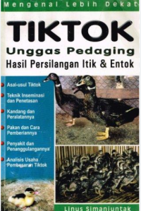 Image of tiktok ungas pedaging hasil persilangan itik dan entok