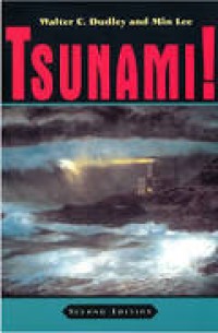 Image of Tsunami