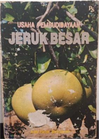 Image of Usaha Pembudidayaan Jeruk Besar