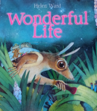 Image of wanderful life
